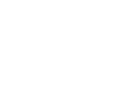 Team Structure