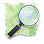 OSM