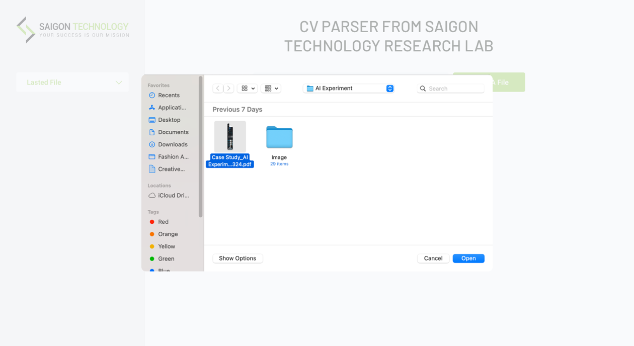 CVParser Documents - demo